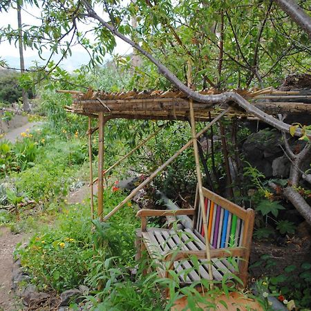 Hostal Casa Amaya Vallehermoso Zewnętrze zdjęcie