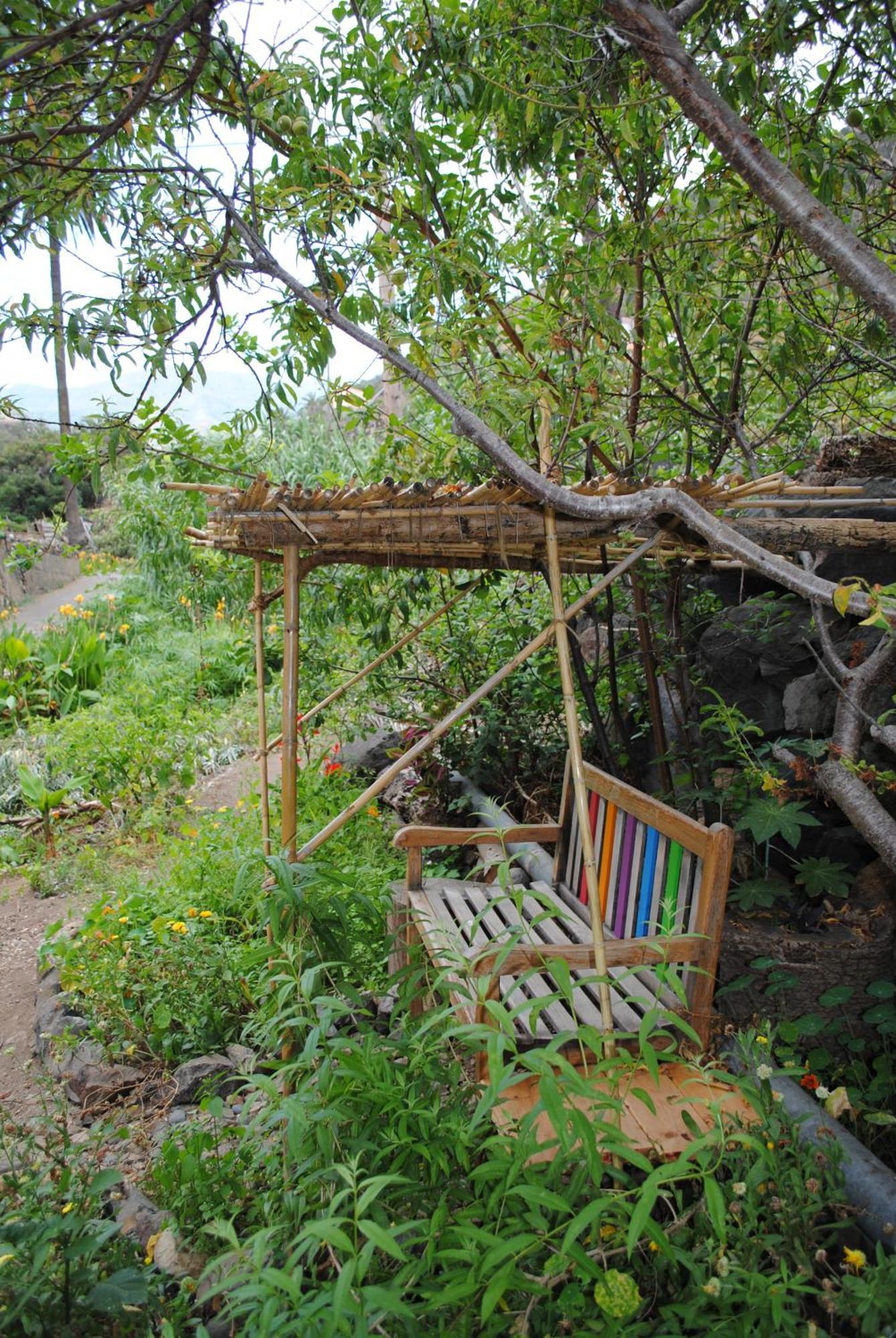 Hostal Casa Amaya Vallehermoso Zewnętrze zdjęcie