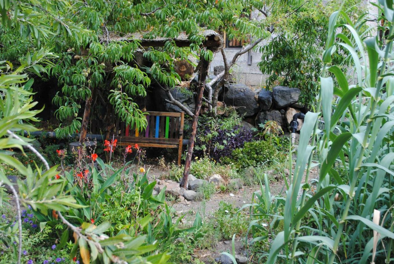 Hostal Casa Amaya Vallehermoso Zewnętrze zdjęcie